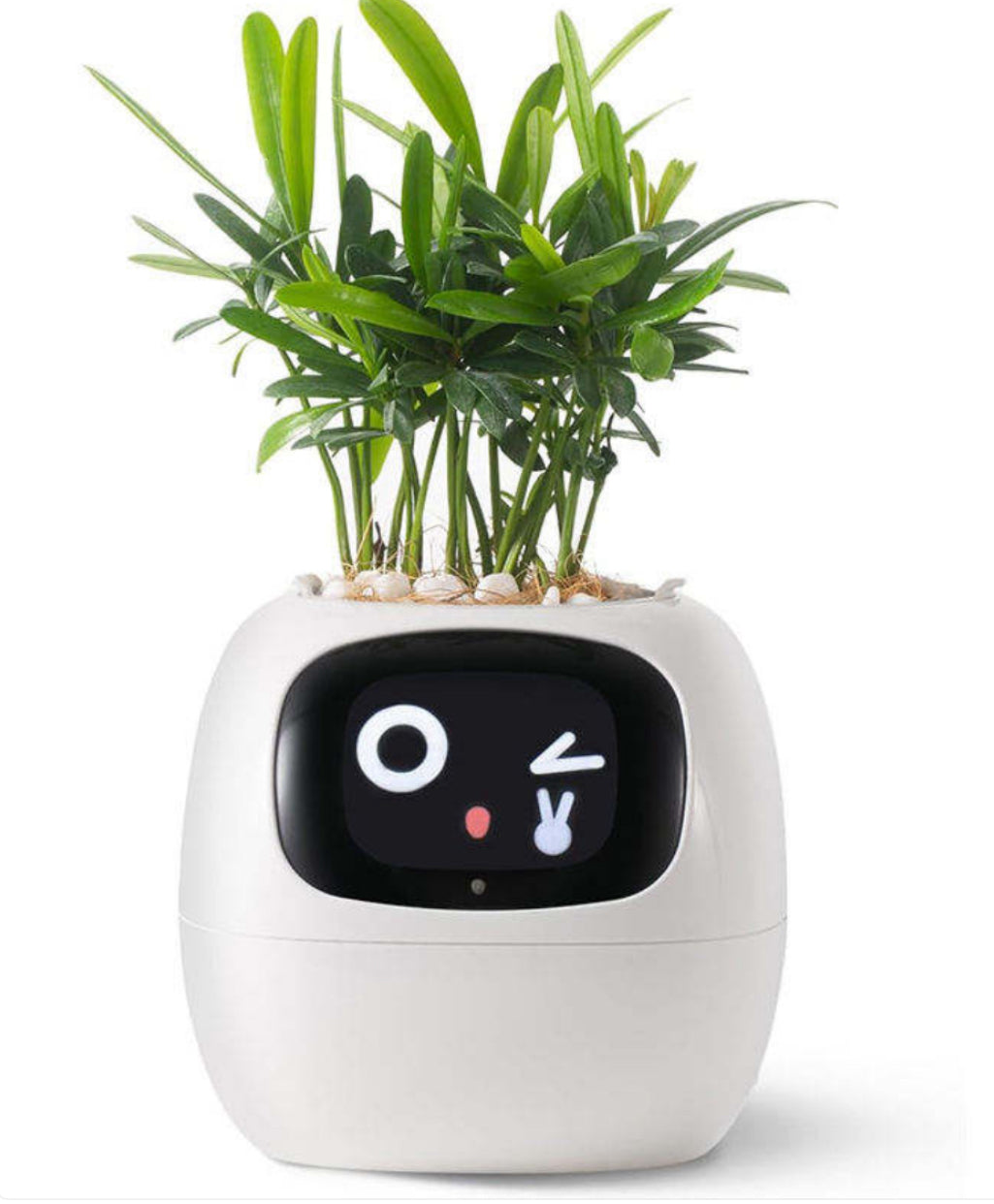 White NeuroPlanter