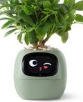 Green NeuroPlanter