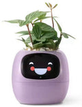 Purple NeuroPlanter