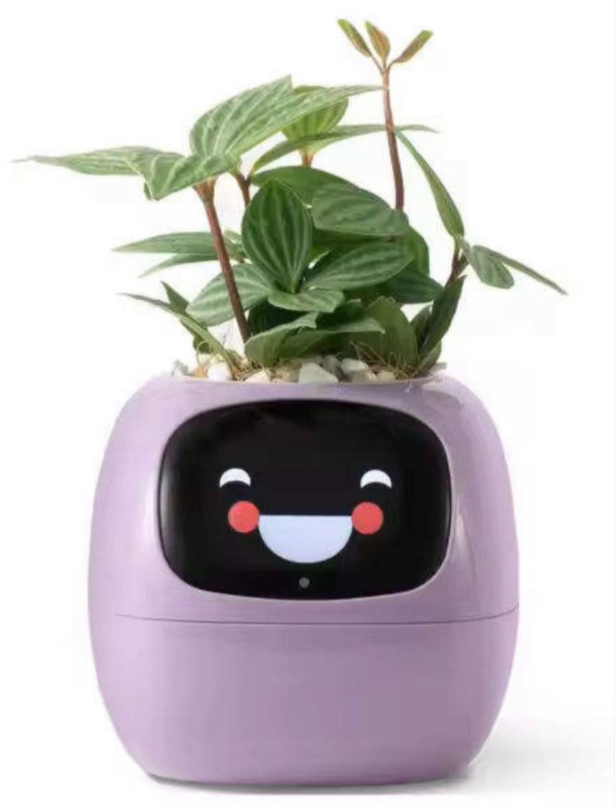 Purple NeuroPlanter