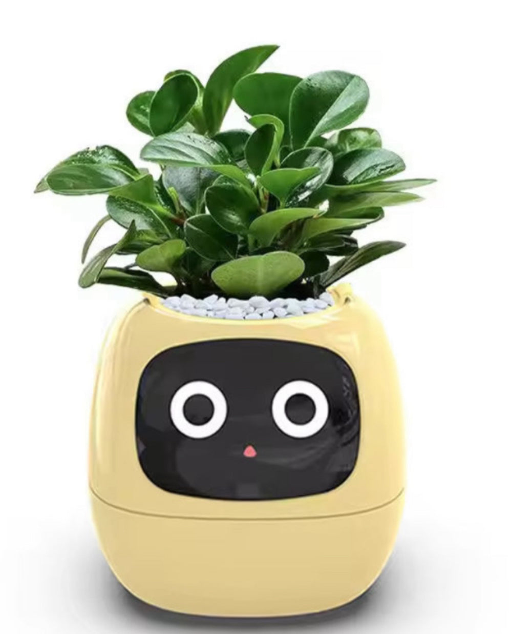 Yellow NeuroPlanter